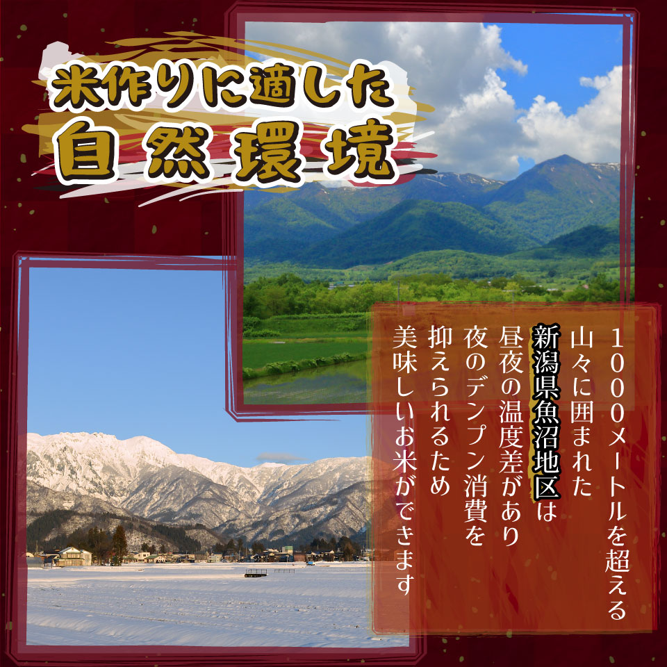 米 令和6年新米 送料無料 新潟県 南魚沼 しおざわ産プレミアムコシヒカリ 玄米30kg ご飯 お米　魚沼産コシヒカリ