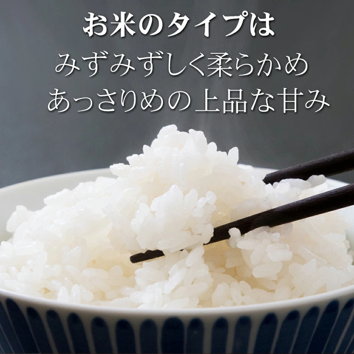 米 令和5年 お米 10kg コシヒカリ 新潟県安塚産棚田米 コシヒカリ 玄米