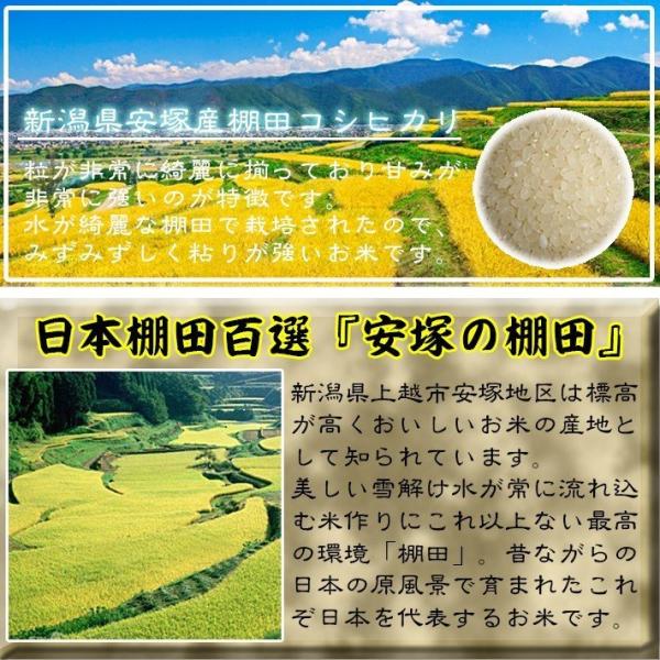 米 令和5年 お米 30kg コシヒカリ 新潟県安塚産棚田米 コシヒカリ 玄米 