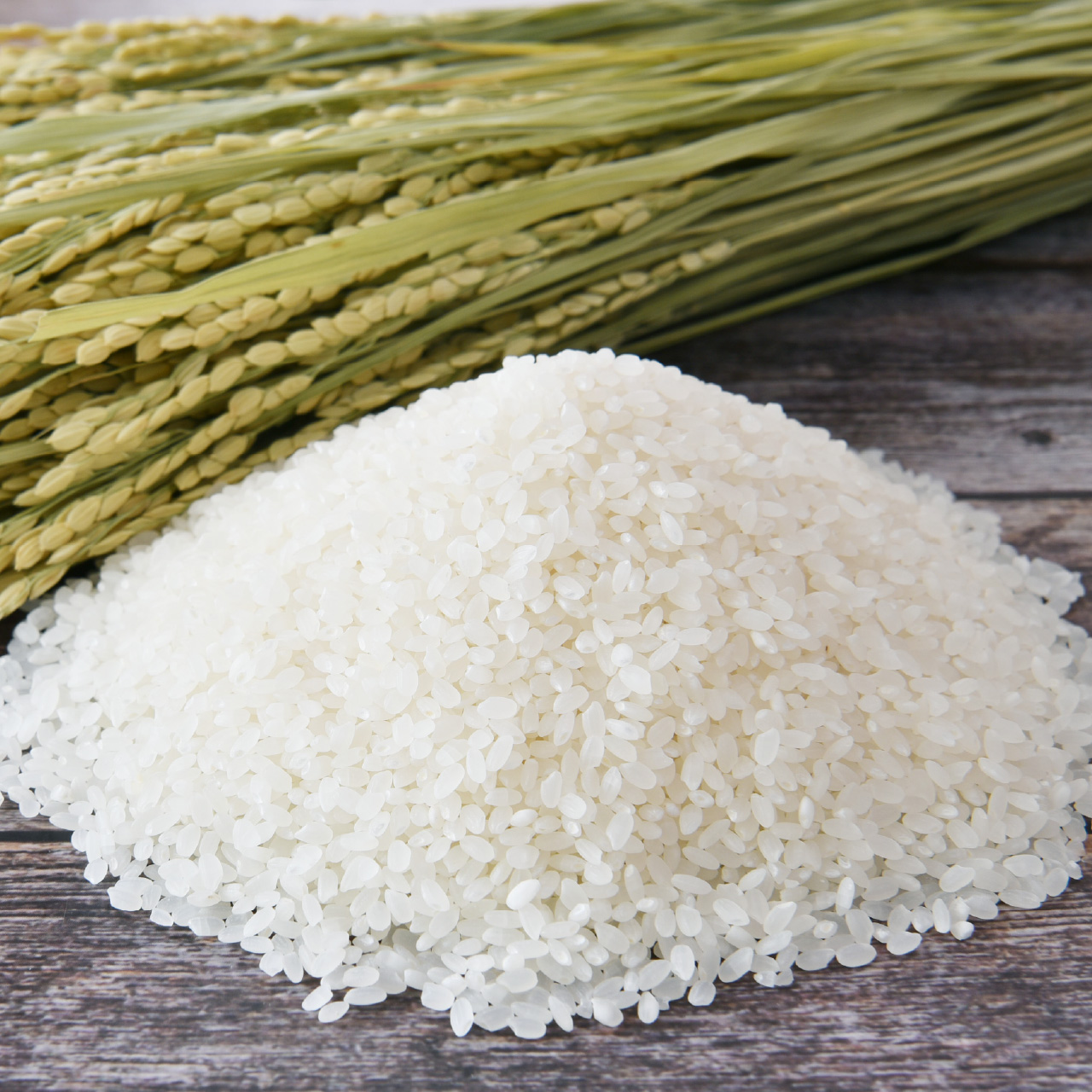 令和7年産 新潟産つきあかり 5kg (5kg...の詳細画像3