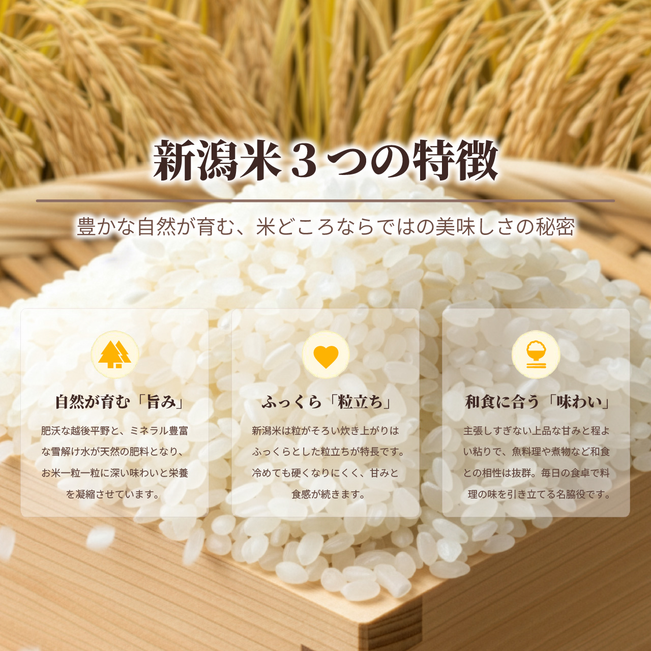 令和7年産 新潟産つきあかり 5kg (5kg...の詳細画像2