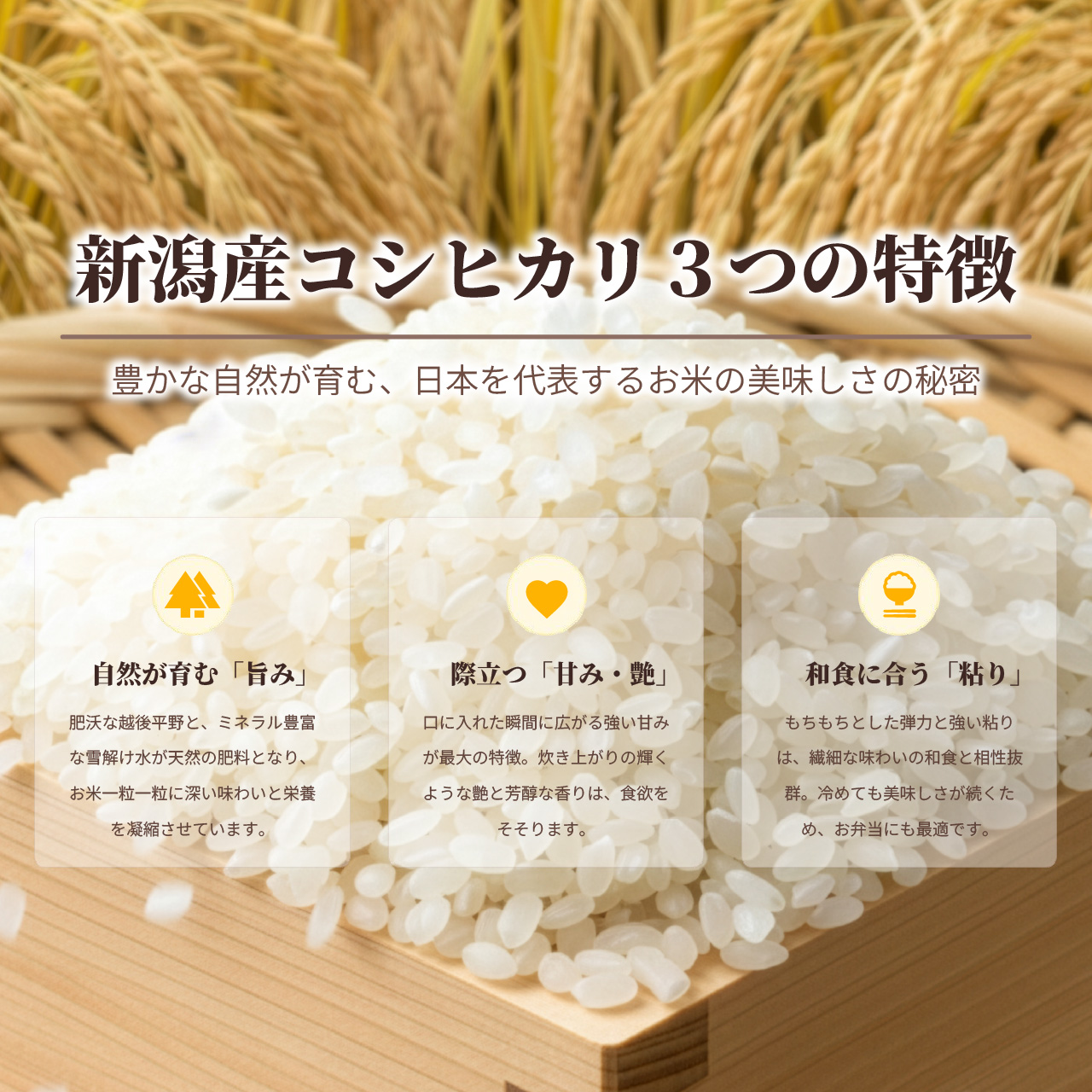令和2年100%コシヒカリ新米(キャンセル委託品） コシヒカリ 令和7年産 無洗米 新潟産コシヒカリ 5kg (5kg x 1袋) 金