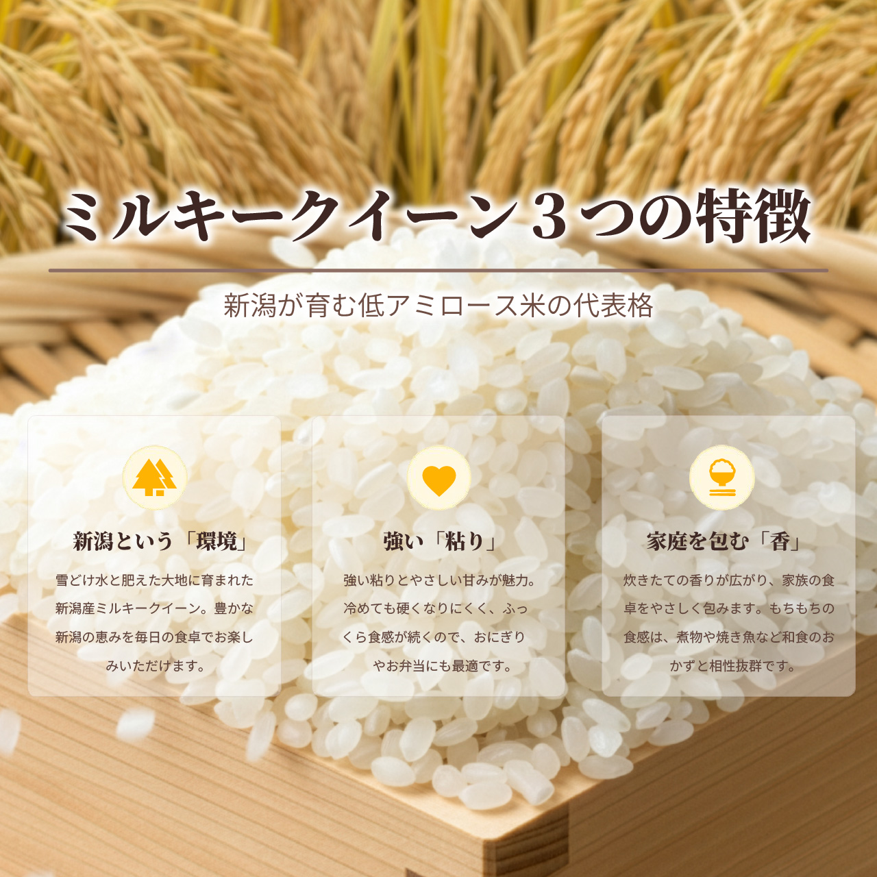 ミルキークイーン 令和7年産 新潟産ミルキークイーン 5kg (5kg x 1袋