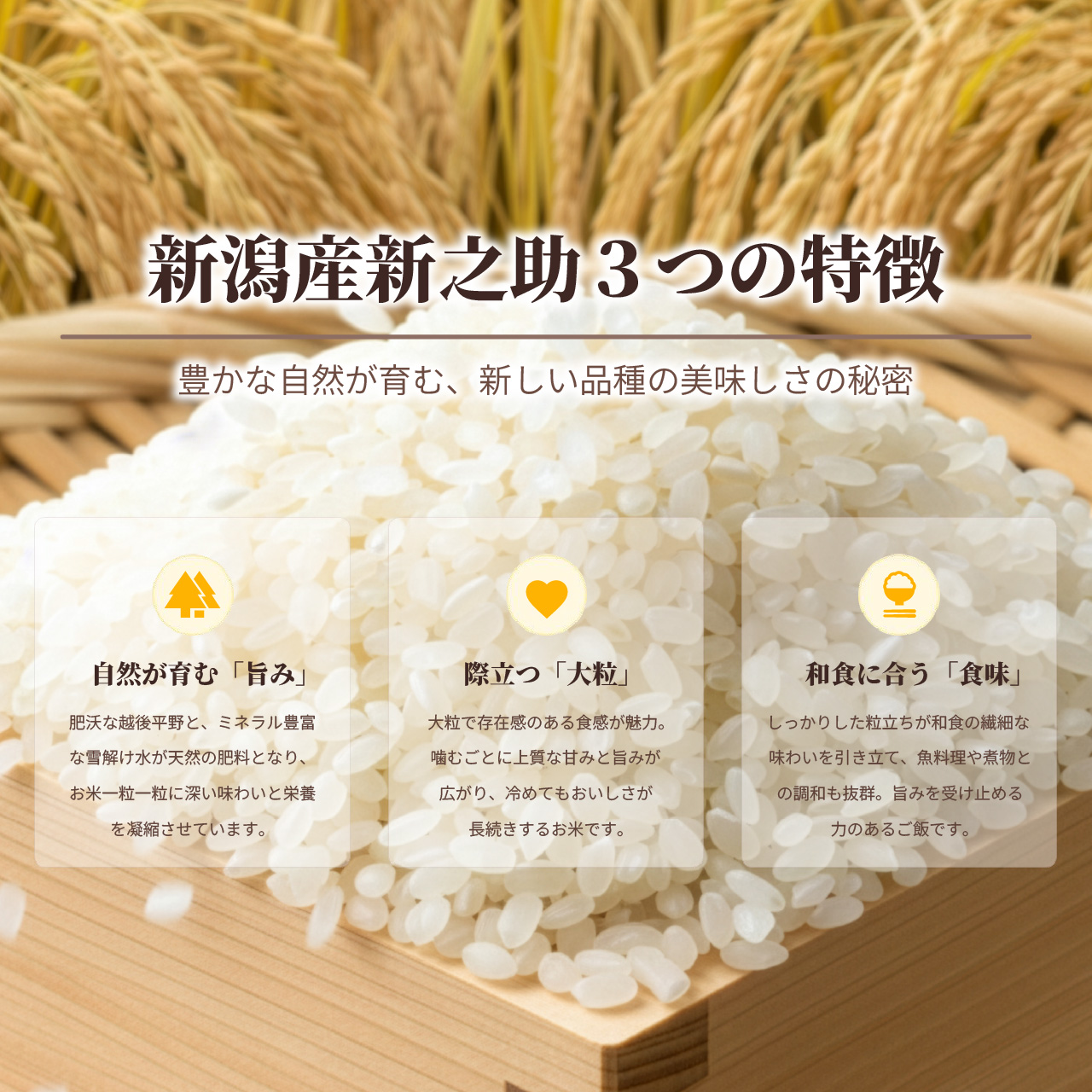 令和7年産 新潟産新之助 15kg (5kg ...の詳細画像2