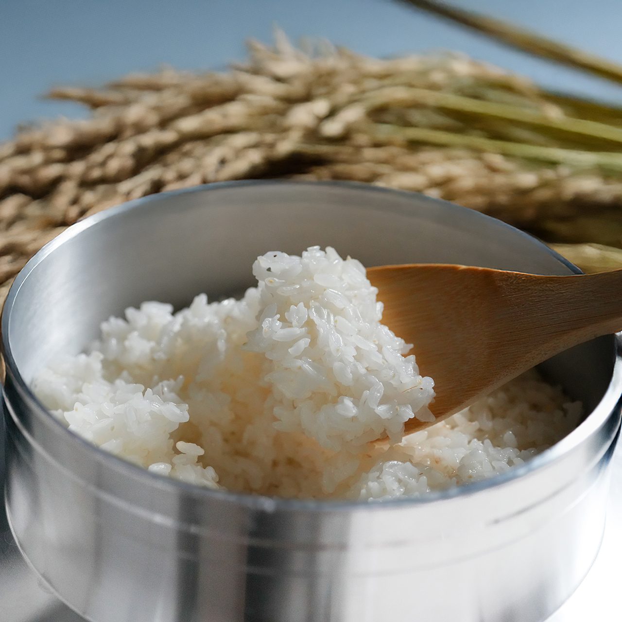 新之助（しんのすけ） 令和7年産 無洗米 新潟産新之助 5kg (5kg x 1袋