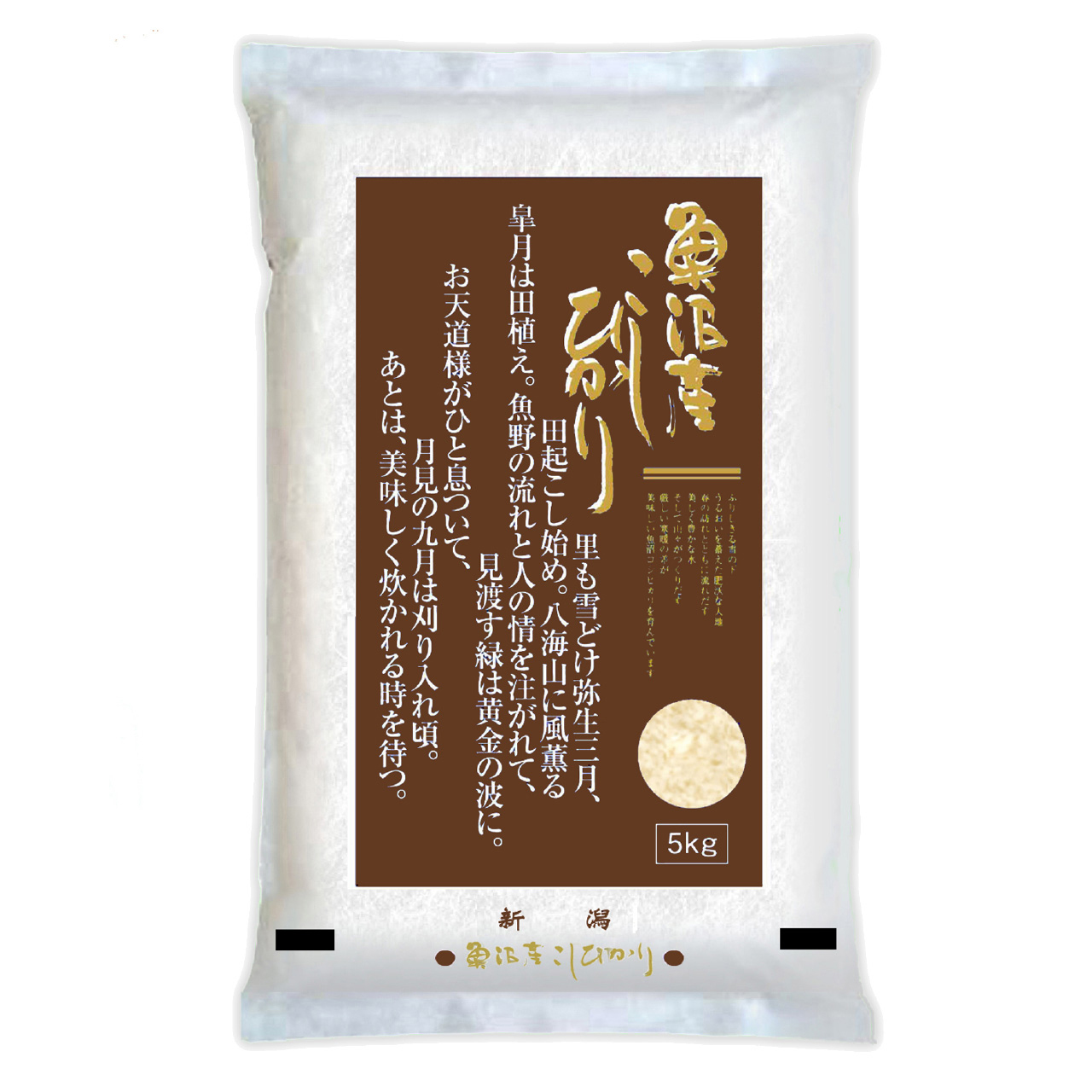コシヒカリ 20kg（コシヒカリ）の商品一覧 通販 - Yahoo!ショッピング