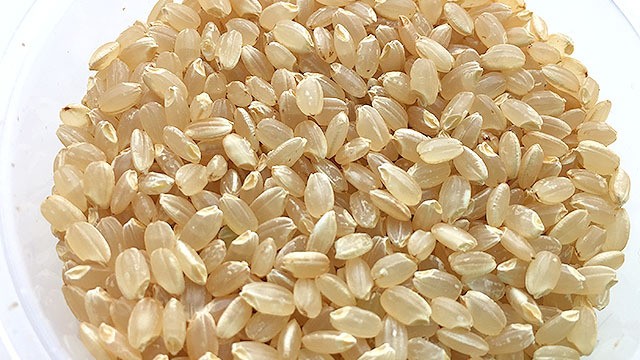 米　令和5年度産　滋賀県産　特別栽培米　コシヒカリ　5kg　｜komeq-nagoya｜03