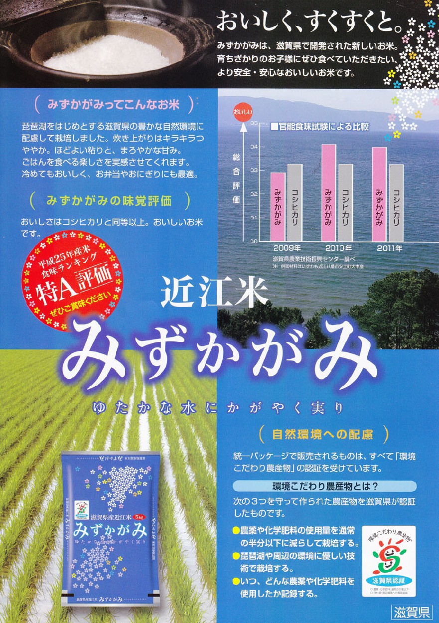 新米】玄米 10kg 環境こだわり米 滋賀 みずかがみ : 米せん - 通販