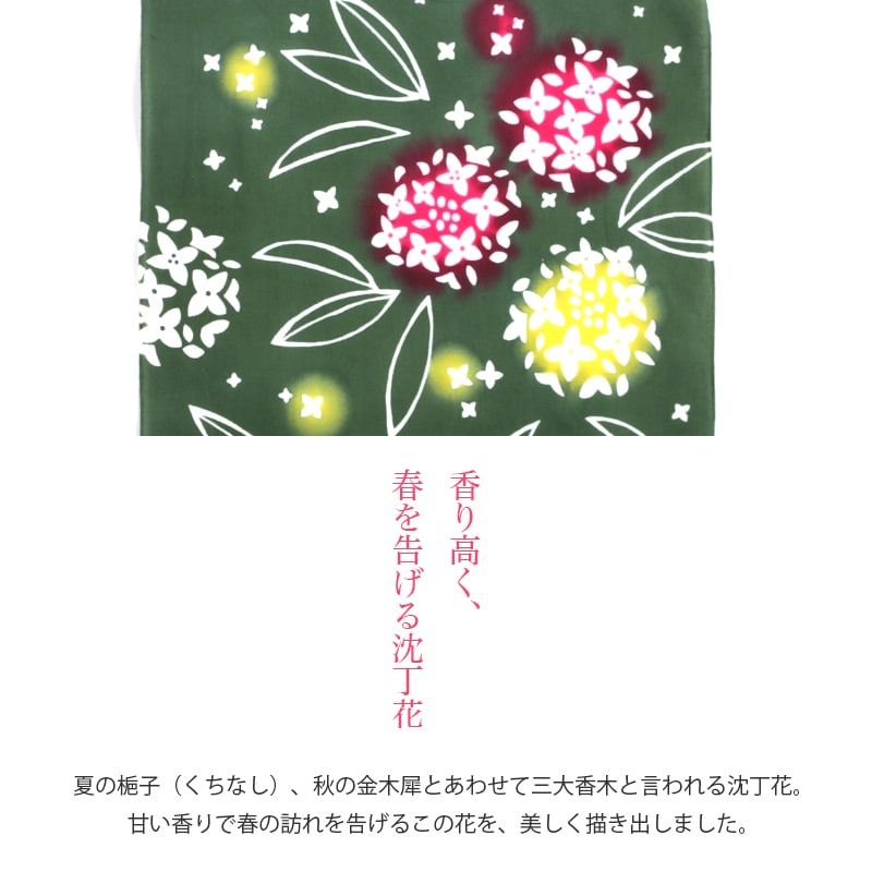 【メルカリ唯一出品挑戦中！状態良好！入手困難本】国分寺・国立今昔写真帖 保存版 imgrc0078635236.jpg