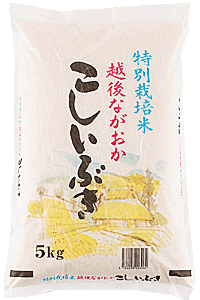特別栽培米新潟産こしいぶき