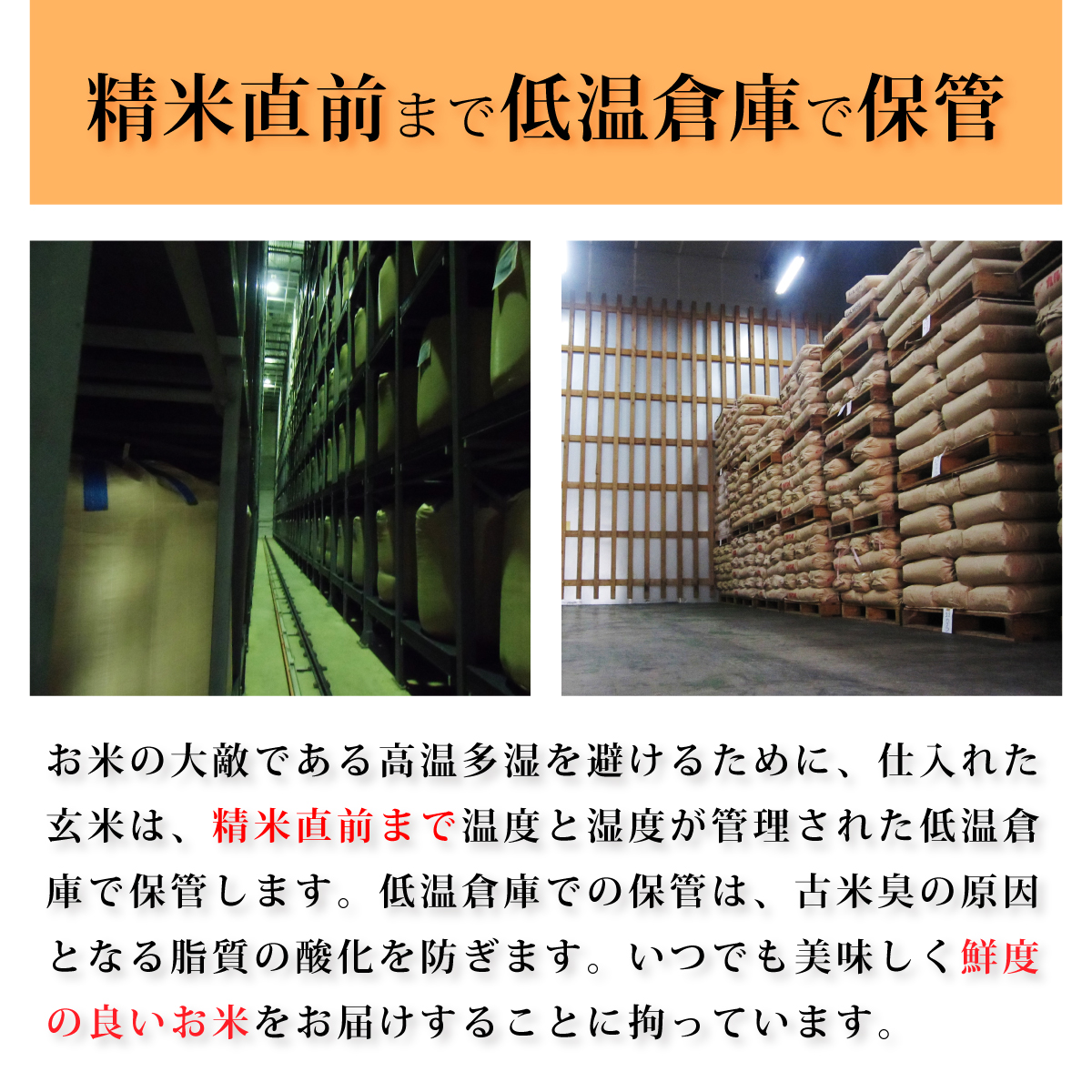令和4年度 富山県産ミルキークイーン 20kg 古米 低温庫保管