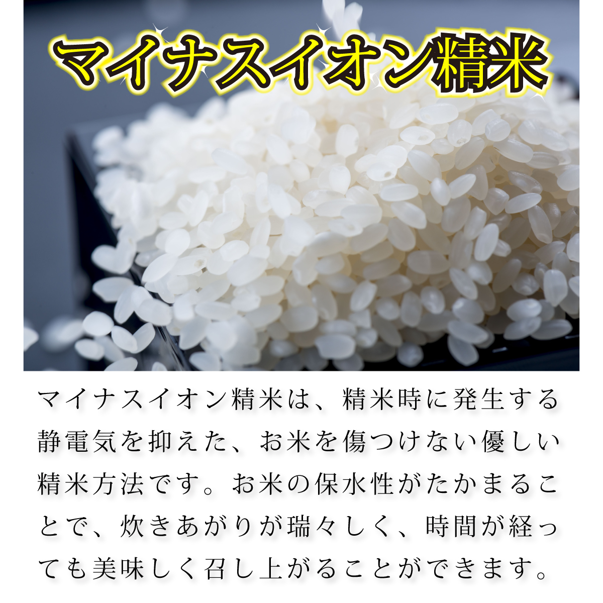 米10kg コシヒカリ 石川県産 5kg×2袋 令和5年 新米 お米 能登米