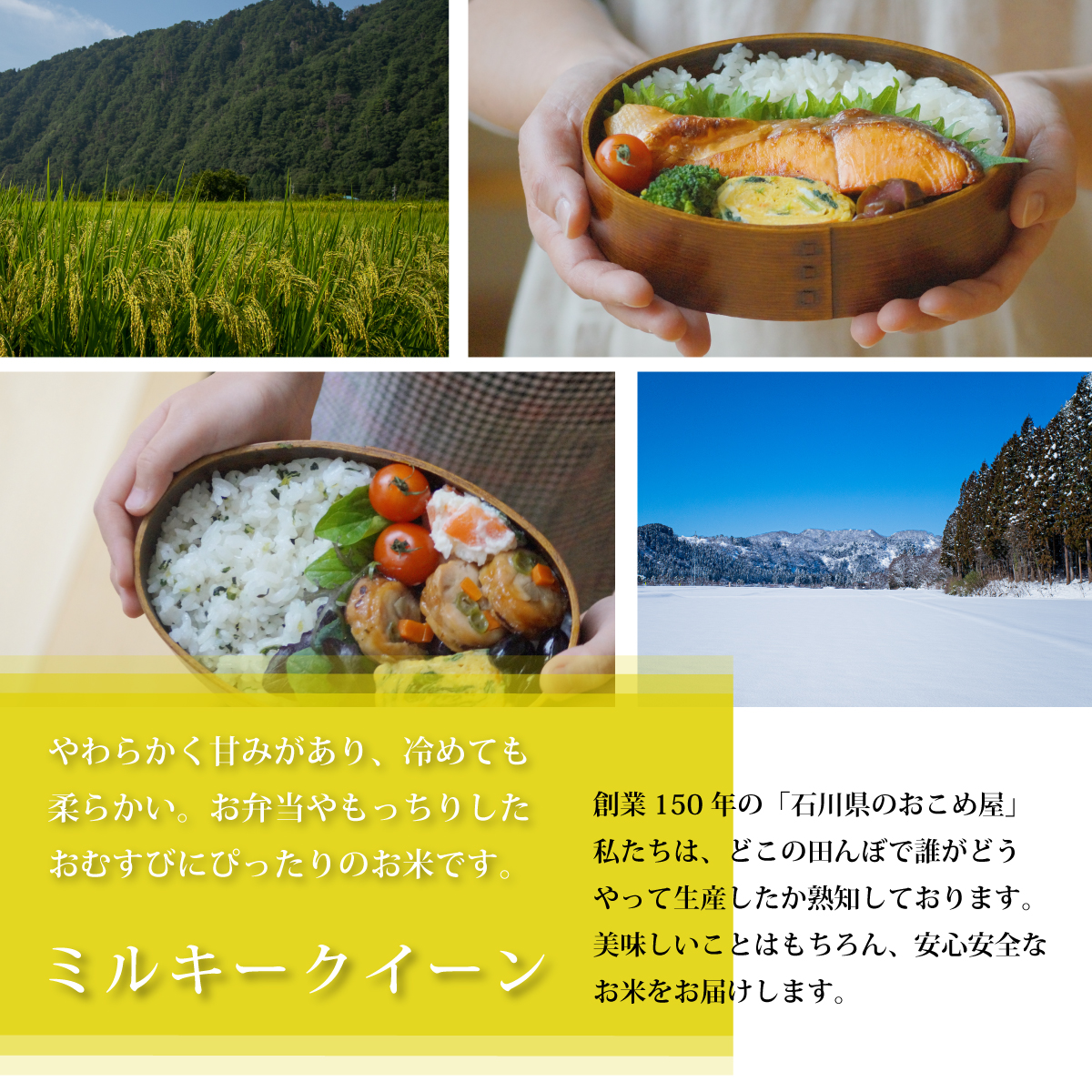 新作入荷!!】 玄米 5kg 石川県産 ミルキークイーン 分づき精米 3分づき