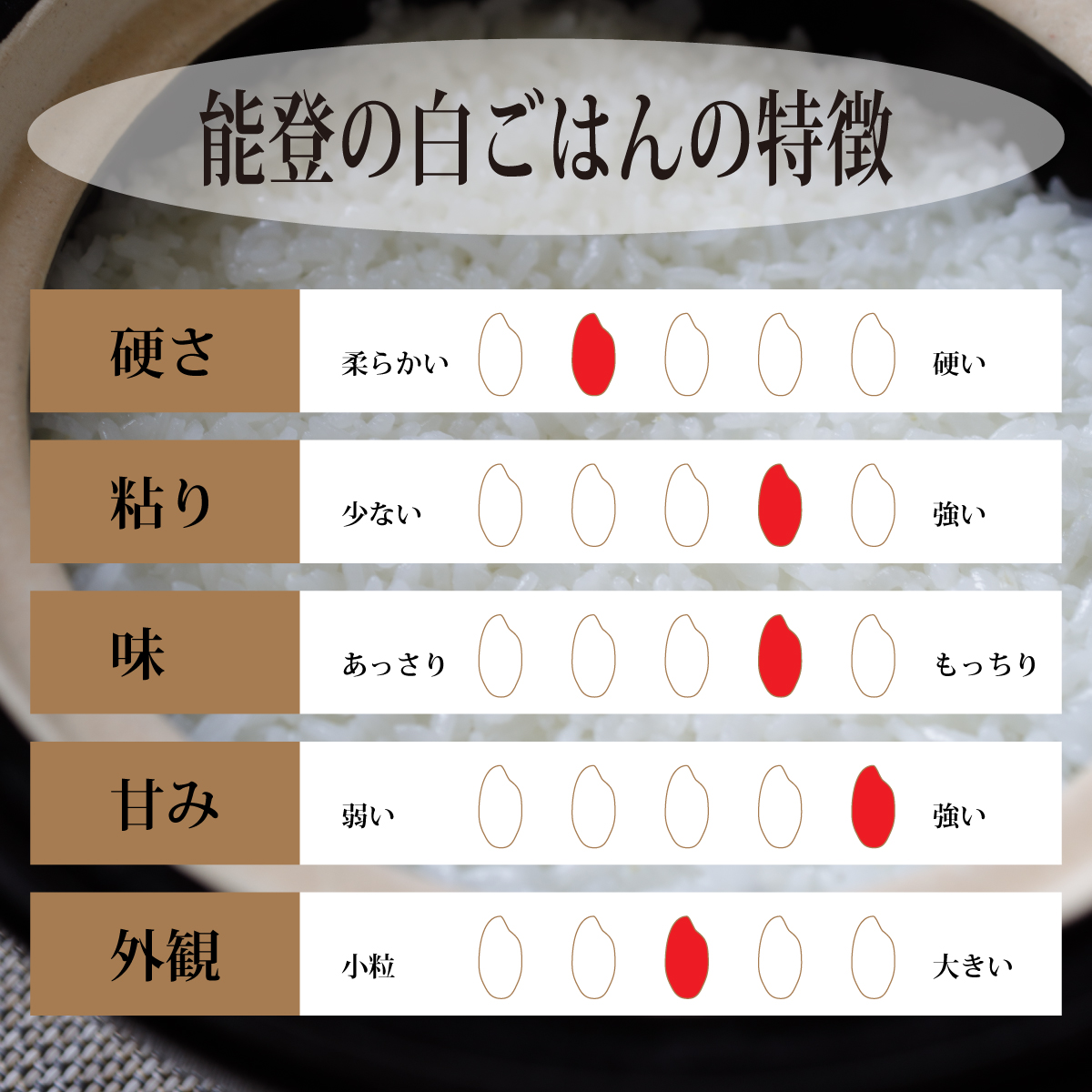 米 10kg コシヒカリ 石川県 5kg×2袋 令和6年 新米 お米 能登の白