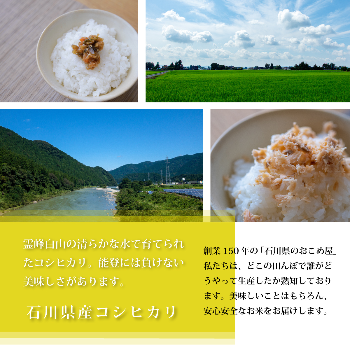 米2kg コシヒカリ 石川県産 令和5年 新米 お米 白米 こしひかり 2キロ