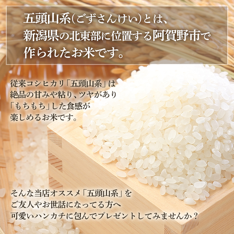 米 ギフト お歳暮 お米 プレゼント 送料無料 美味しい 新潟 コシヒカリ