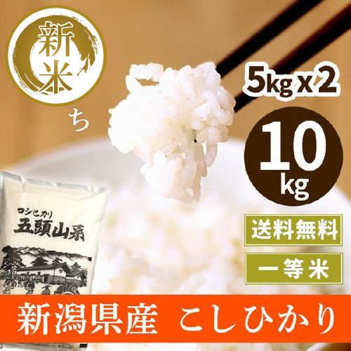 新米 令和5年産 米 10kg 送料無料 コシヒカリ 新潟 五頭山系 お米 10