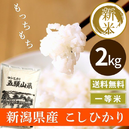 令和6年度産 新潟産コシヒカリ | 精米/玄米10kg
