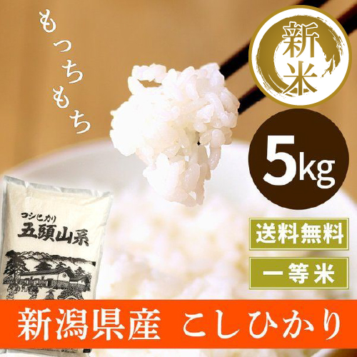 Amazon | かたぎり 新潟県産コシヒカリ 五頭山系 5kg | かたぎり