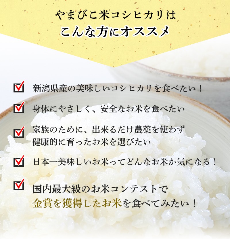 新米 20kg 新潟産コシヒカリ 美味しいお米 5kg×4 コシヒカリ 新潟 送料