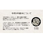 米 お米 令和5年産 福島県中通り産 天のつぶ...の詳細画像2
