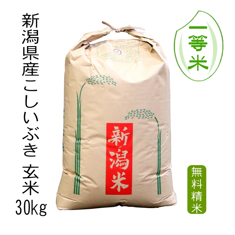 【 一等米 】 新潟県産 こしいぶき 令和5年産 玄米 30kg 送料無料 本州のみ