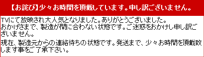 発送の遅れ