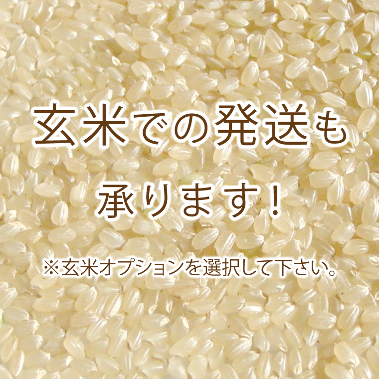 セール 魚沼産 コシヒカリ 特選 ( 令和7年...の詳細画像1