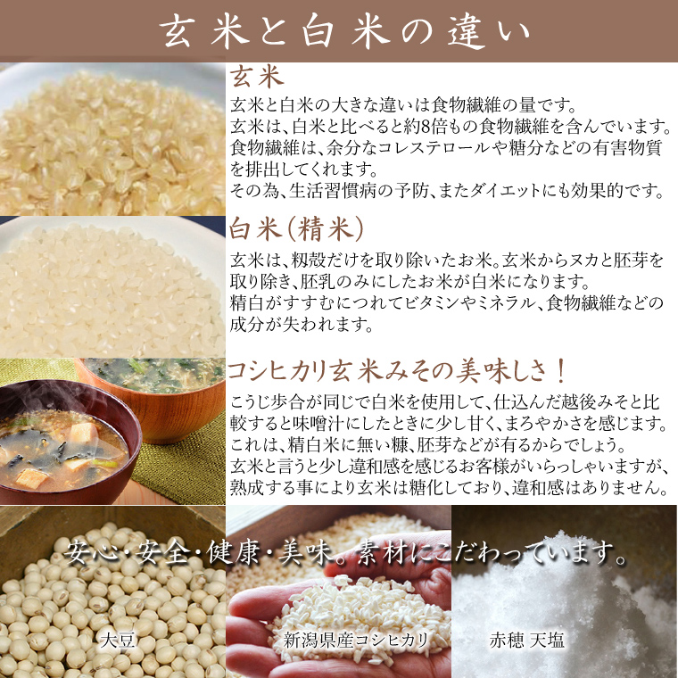 新米コシヒカリ玄米 箱詰 【公式通販】