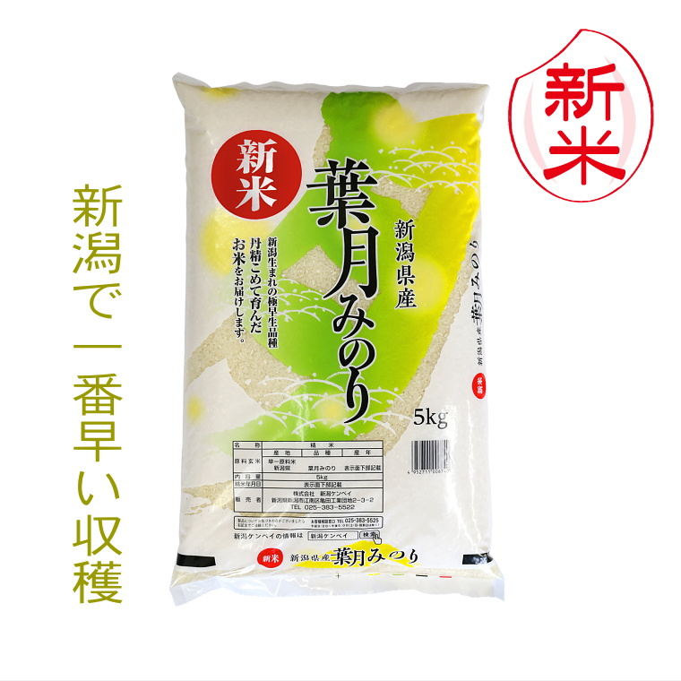 雪国まいたけ 【炊き込みごはんの素】舞茸ごはんの素（140g）2合