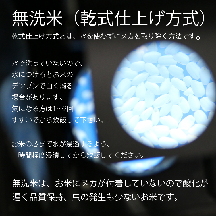 由吉様天使の詩無洗米4.8×2袋 無洗米（乾式） 新潟米 新之助 使い切りパック300g（約2合） 3