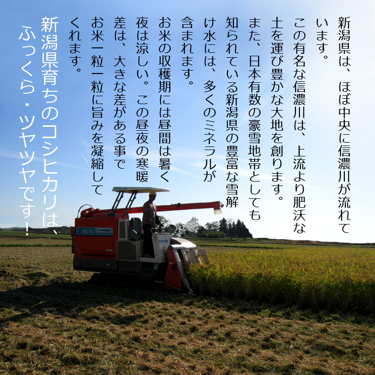 新潟県産コシヒカリ