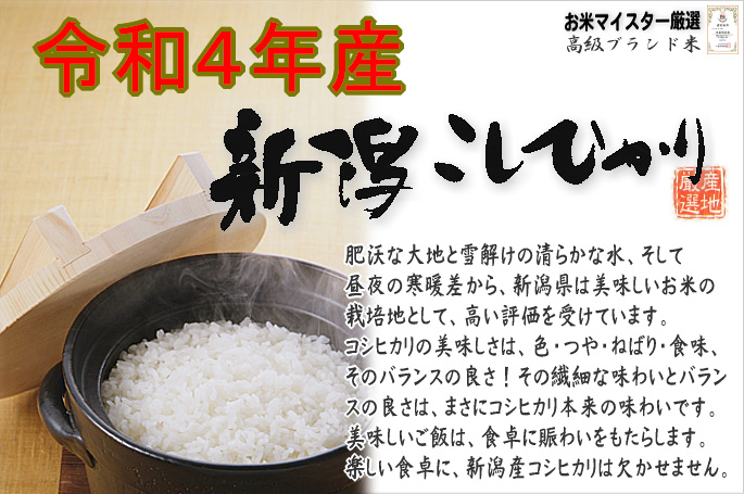 もち米】新潟県産こがねもち米（令和4年産）1kg 【10kg以上の同梱で送料無料（本州のみ）】 :kogane01:米屋おおくら - 通販 -  Yahoo!ショッピング