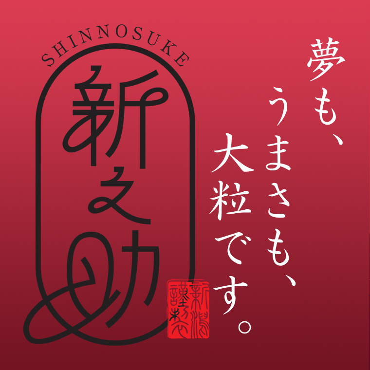 無洗米（乾式） 新潟米 新之助 使い切りパック300g（約2合） 3
