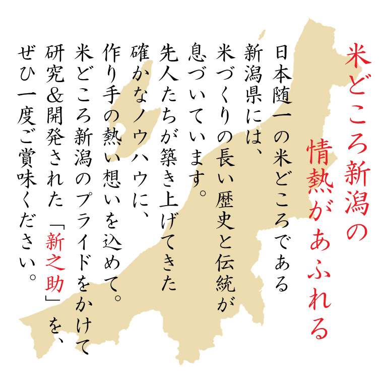 令和6年産》 無洗米 千葉県産ふさこがね｜楽天マート - ネット