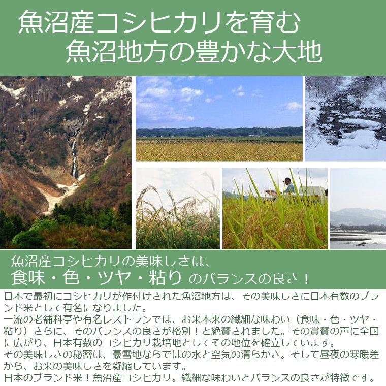 魚沼産コシヒカリ