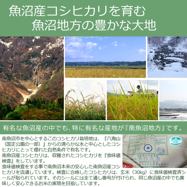 新米予約 無洗米 ( 乾式 )( 南魚沼産 )...の詳細画像4