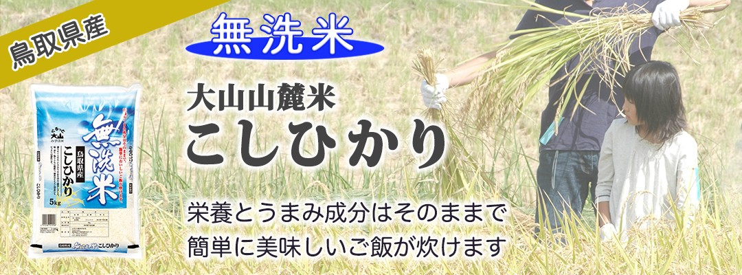 もち米 ひめのもち 鳥取県日南町産 1.5kg 令和4年産 1升パック - 通販