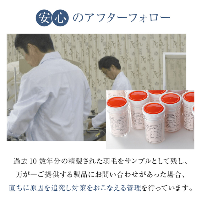 フランスベッド（FRANCEBED） 正規品 羽毛布団 クイーン CS-03 AS 合い