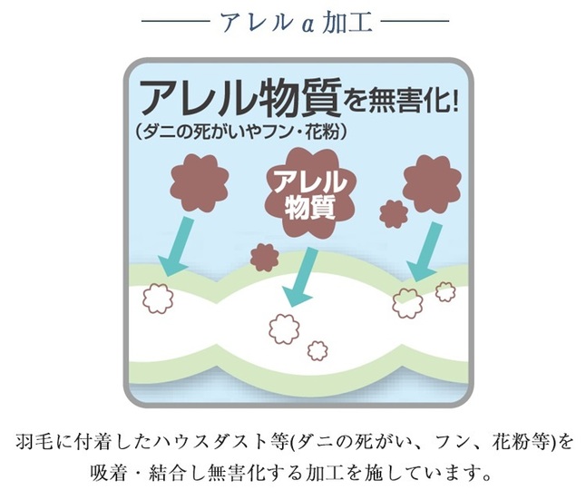 フランスベッド（FRANCEBED） 正規品 羽毛布団 ダブル CS-01 ダック 1