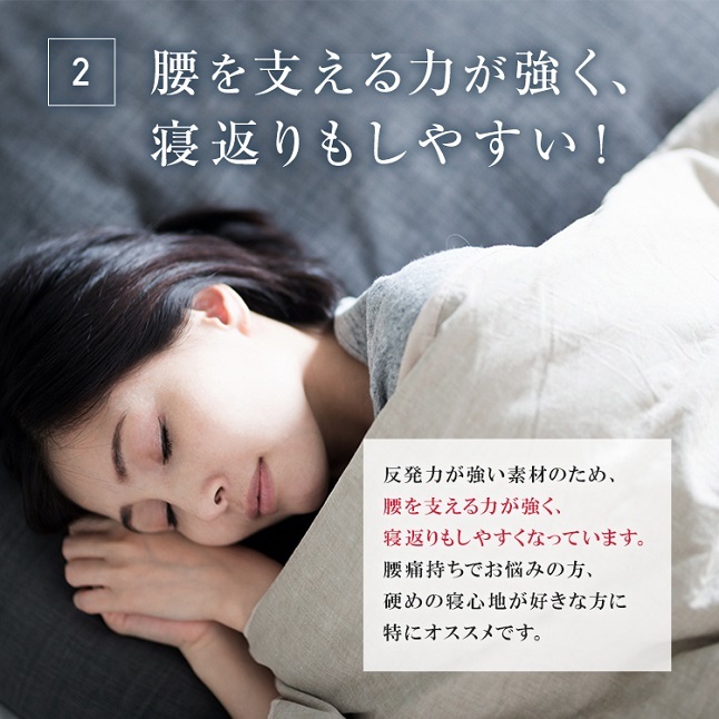 正規品 フランスベッド 電動ベッド 専用 マッ...の詳細画像4
