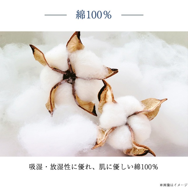 西川 正規品 掛け布団カバー クイーン 西川プレミアム NP4601 | 掛け