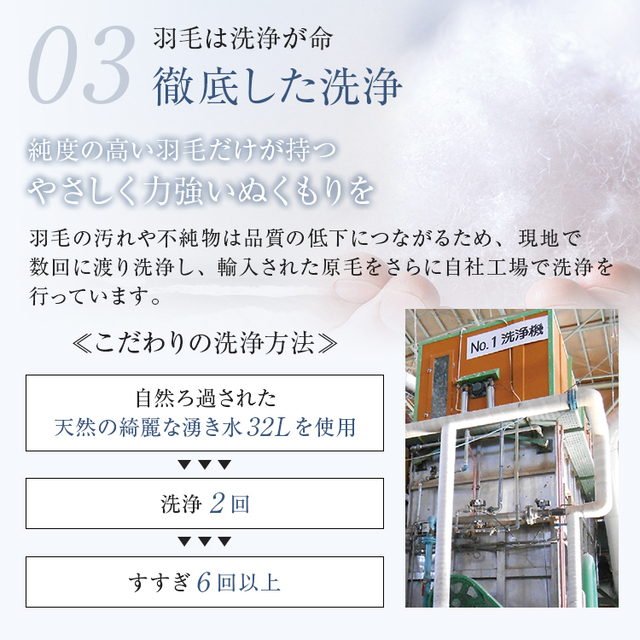 正規品 フランスベッド 羽毛布団 ダブル CS-04 AS オールシーズン タイプ | 羽毛ふとん 高級羽毛布団 二枚合わせ 日本製 国産 パワードーム_13