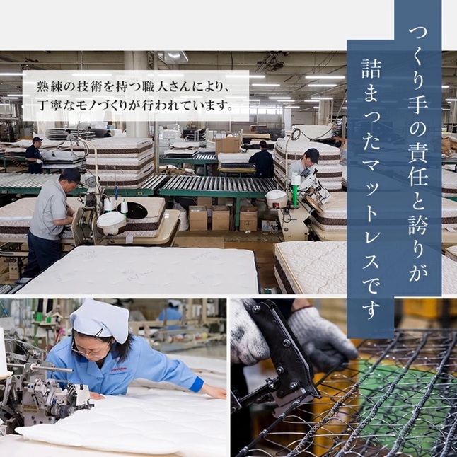 フランスベッド（FRANCEBED） 正規品 電動ベッド専用マットレス