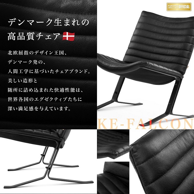 フランスベッド パーソナルチェア KE-FALCON | 正規品 ベッド フランスベッド パーソナルチェア KE-FALCON | 正規品 ベッド