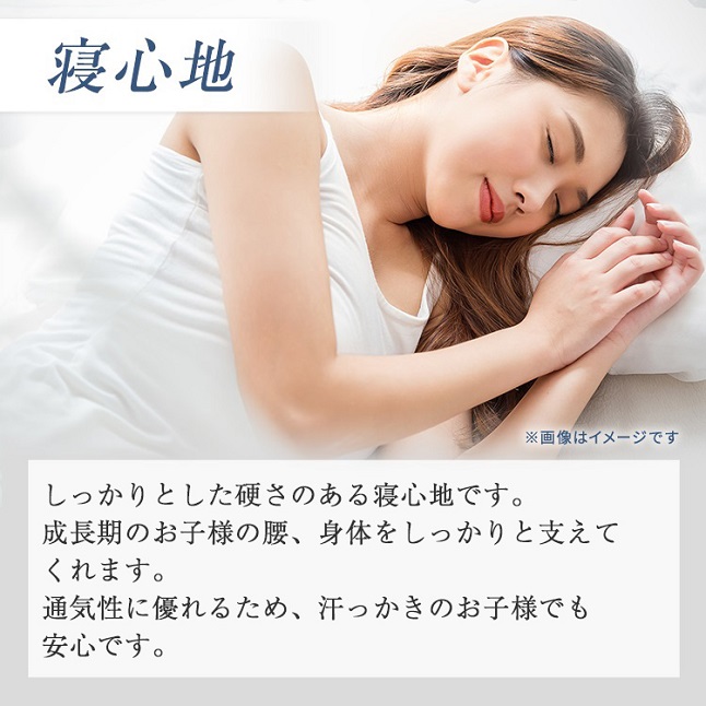 フランスベッド（FRANCEBED） 2枚セット特価 開梱設置 正規品 二段