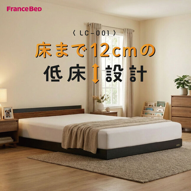 フランスベッド（FRANCEBED） 11/5価格改定 ベッドフレーム ダブル LC