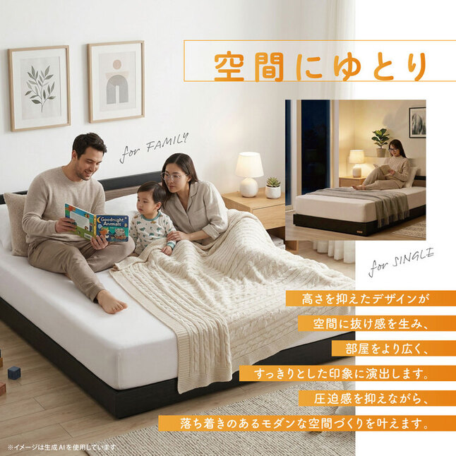 フランスベッド（FRANCEBED） 11/5価格改定 ベッドフレーム ダブル LC