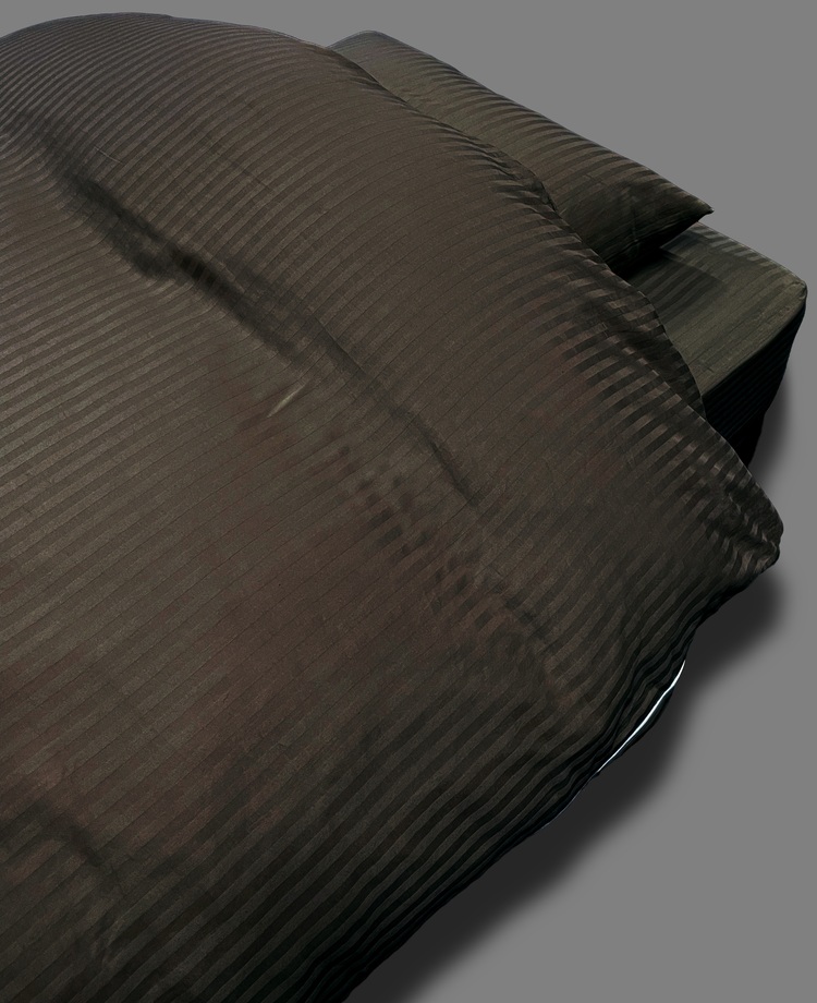 フランスベッド（FRANCEBED） 正規品 掛け布団カバー ダブル ライン