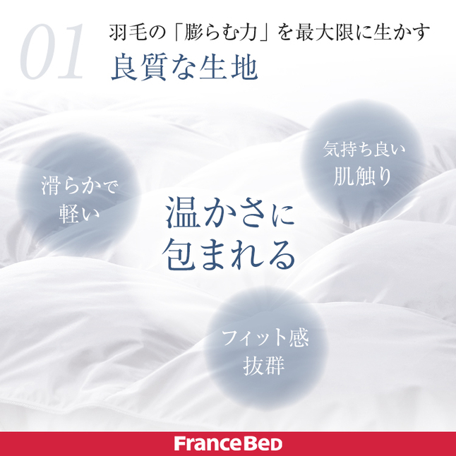 フランスベッド 正規品 羽毛布団 ダブル CS-03 AS オールシーズン
